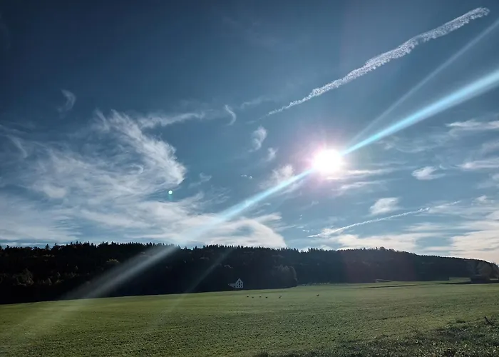 Superior Waldblick *